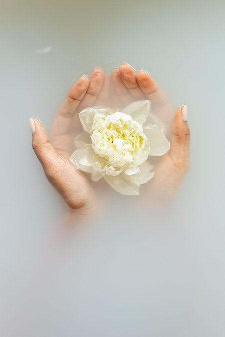 deux mains dans leau qui tiennent une fleur blanche